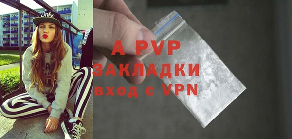 дмт Белокуриха