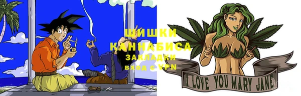 дмт Белокуриха