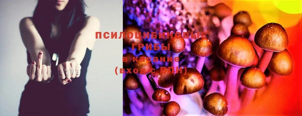 стафф Белоозёрский