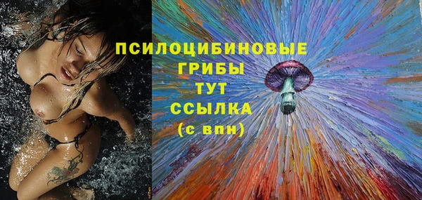 apvp Беломорск