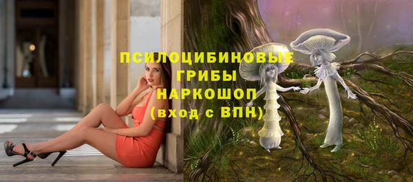 дмт Белокуриха