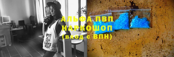 дмт Белокуриха