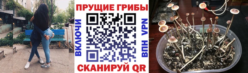 hydra tor  Костерёво  Галлюциногенные грибы Magic Shrooms 